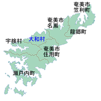 奄美大島宇検村地図